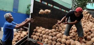 Pemerintah Dorong Dunia Usaha Jalankan Program Hilirisasi Industri item-thumbnail