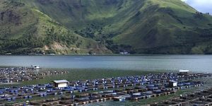 Singkirkan Keramba Jaring Apung dari Danau Toba item-thumbnail