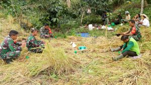 Kabupaten Tapanuli Utara Diproyeksikan Sebagai Lumbung Pangan item-thumbnail