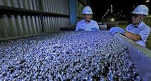 Impor Bijih Nikel dari China Naik 26,5 Persen Sebelum Larangan Impor Diberlakukan item-thumbnail