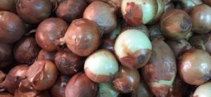 Pemerintah Menambah Lagi Impor Bawang Bombai 14.000 Ton item-thumbnail