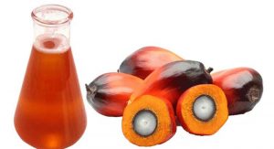 Harga CPO Terjun Bebas item-thumbnail
