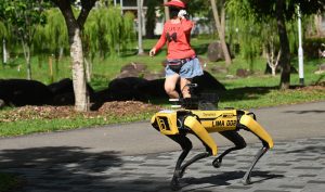 Singapura Kerahkan Robot Anjing Awasi Lockdown item-thumbnail