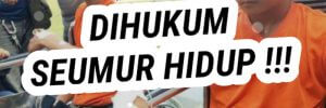 Hukuman Seumur Hidup bagi Koruptor Disambut Baik KPK item-thumbnail