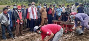 Pantur Banjarnahor, Ajak Petani Humbahas Gigih untuk Marpadot item-thumbnail