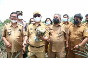 Bupati Nikson Nababan Resmikan Desa Wisata Kampung Nenas, Kampung Ikan dan Kampung Ulos Kabupaten Tapanuli Utara item-thumbnail