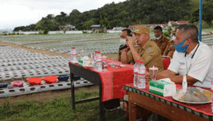 Kecataman Muara Tapanuli Utara Disiapkan Jadi Pusat Produksi Bibit Bawang item-thumbnail