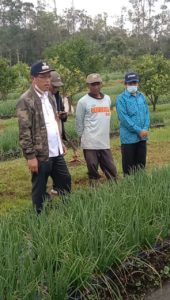 Humbahas Kini Menjadi Daerah Penyumbang Bawang Merah Terbesar di Sumut item-thumbnail
