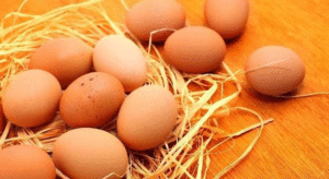 Harga Telur Naik, Ini Penyebabnya… item-thumbnail