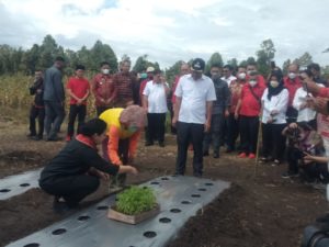 Puan Maharani Ketua DPR RI Tanam Cabai Di Desa Pearung item-thumbnail