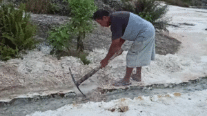 Setelah Gempa, Pemandian Air Hangat Sipohon Mengering item-thumbnail