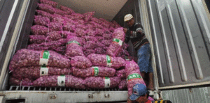 Pasokan Bawang Putih di Indonesia Masih Tergantung Impor item-thumbnail