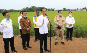 Gile…Dana Proyek ‘’Food Estate’’ Rp 1 Triliun, Ditilep Parpol Untuk Danai Pilpres 2024 !!! item-thumbnail