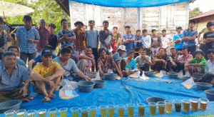Laboratorium Dinas Pertanian Kabupaten Taput, Berhasil Memproduksi ‘’Trichoderma’’ item-thumbnail