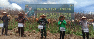 Panen Raya Jagung di Desa Hutasoit I, Humbahas item-thumbnail